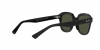 RB4398 Erik Sunglasses