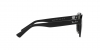 RB4398 Erik Sunglasses