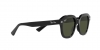 RB4398 Erik Sunglasses