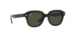 RB4398 Erik Sunglasses