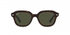 RB4398 Erik Sunglasses