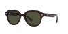 RB4398 Erik Sunglasses