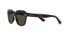 RB4398 Erik Sunglasses