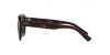 RB4398 Erik Sunglasses