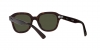 RB4398 Erik Sunglasses