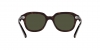 RB4398 Erik Sunglasses