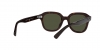 RB4398 Erik Sunglasses