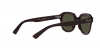 RB4398 Erik Sunglasses