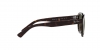 RB4398 Erik Sunglasses