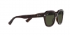 RB4398 Erik Sunglasses