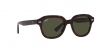 RB4398 Erik Sunglasses