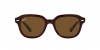 RB4398 Erik Sunglasses