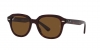 RB4398 Erik Sunglasses
