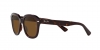 RB4398 Erik Sunglasses
