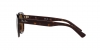 RB4398 Erik Sunglasses