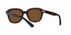 RB4398 Erik Sunglasses
