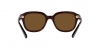 RB4398 Erik Sunglasses