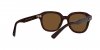 RB4398 Erik Sunglasses