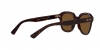 RB4398 Erik Sunglasses