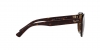 RB4398 Erik Sunglasses
