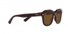 RB4398 Erik Sunglasses