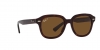 RB4398 Erik Sunglasses