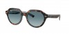 RB4399 Gina Sunglasses