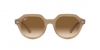 RB4399 Gina Sunglasses