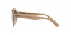 RB4399 Gina Sunglasses