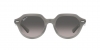 RB4399 Gina Sunglasses