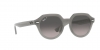 RB4399 Gina Sunglasses