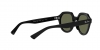 RB4399 Gina Sunglasses