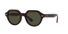 RB4399 Gina Sunglasses