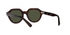 RB4399 Gina Sunglasses
