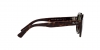 RB4399 Gina Sunglasses