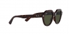 RB4399 Gina Sunglasses