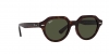 RB4399 Gina Sunglasses