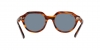 RB4399 Gina Sunglasses