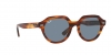 RB4399 Gina Sunglasses