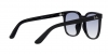 RB4401D Sunglasses