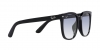 RB4401D Sunglasses