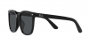 RB4401D Sunglasses