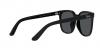 RB4401D Sunglasses