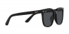 RB4401D Sunglasses