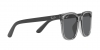 RB4401D Sunglasses