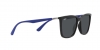 RB4401D Sunglasses