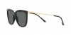 RB4402L Sunglasses