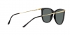 RB4402L Sunglasses