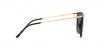 RB4402L Sunglasses