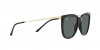 RB4402L Sunglasses